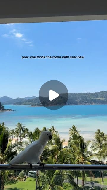 Reef View Hotel balcony, Hamilton Island